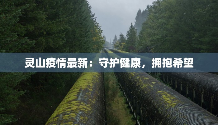 灵山疫情最新:守护健康,拥抱希望 灵山疫情最新:守护健康,拥抱希望