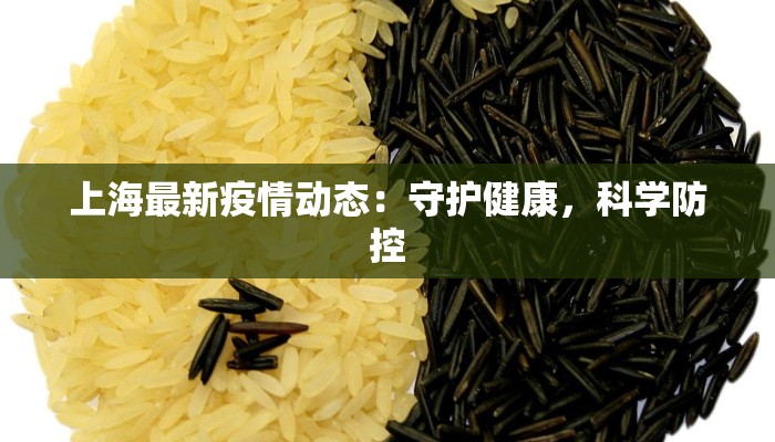 上海最新疫情动态：守护健康，科学防控