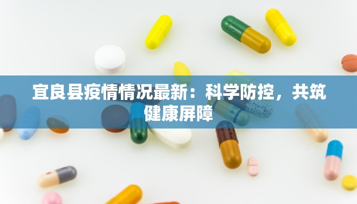 宜良县疫情情况最新：科学防控，共筑健康屏障