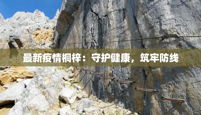 最新疫情桐梓:守护健康,筑牢防线 最新疫情桐梓:守护健康,筑牢防线