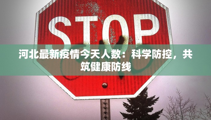 河北最新疫情今天人数：科学防控，共筑健康防线