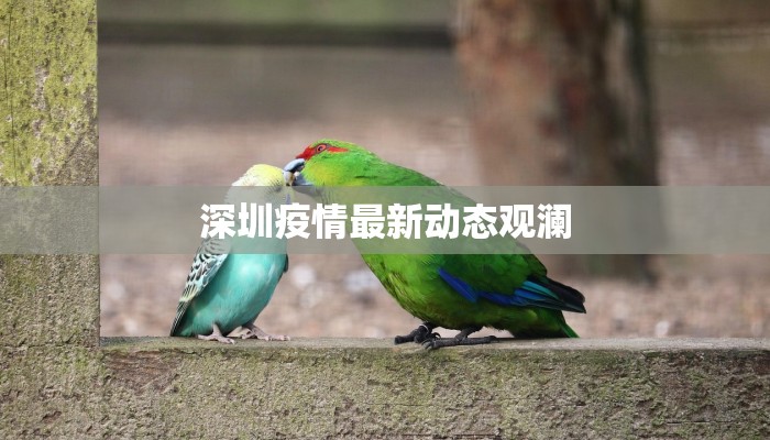 深圳疫情最新动态观澜