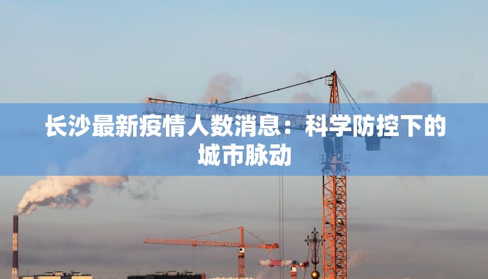 长沙最新疫情人数消息:科学防控下的城市脉动 长沙最新疫情人数消息:科学防控下的城市脉动