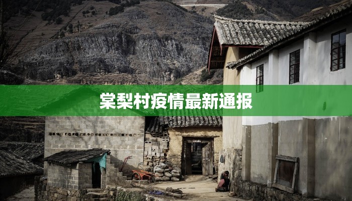 棠梨村疫情最新通报 棠梨村疫情最新通报