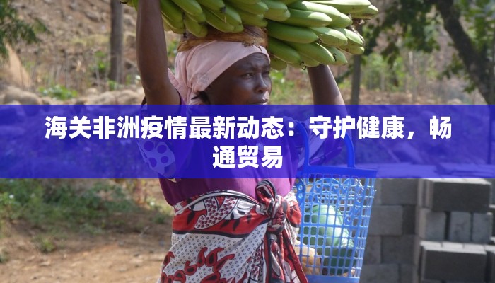 海关非洲疫情最新动态:守护健康,畅通贸易 海关非洲疫情最新动态:守护健康,畅通贸易