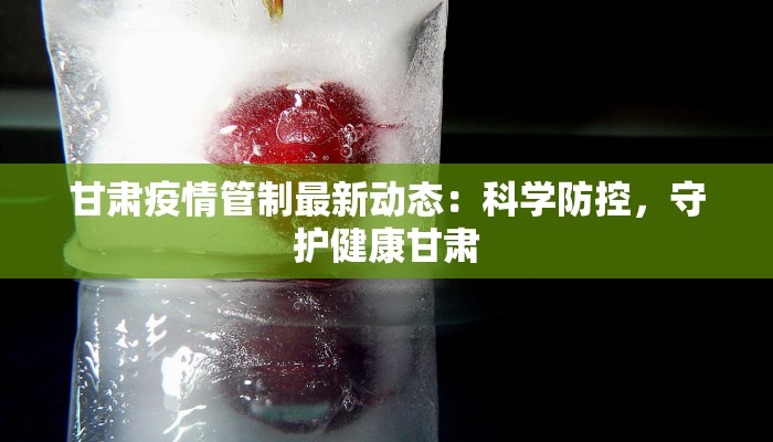 甘肃疫情管制最新动态：科学防控，守护健康甘肃