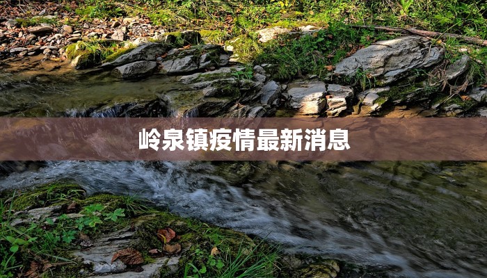 岭泉镇疫情最新消息