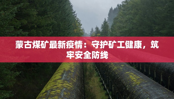 蒙古煤矿最新疫情：守护矿工健康，筑牢安全防线