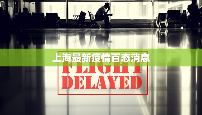 上海最新疫情百态消息