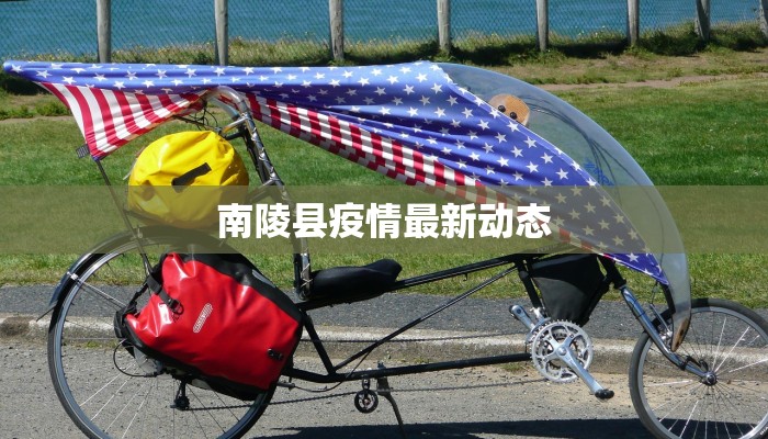 侣俸最新疫情：守护健康的智慧之选