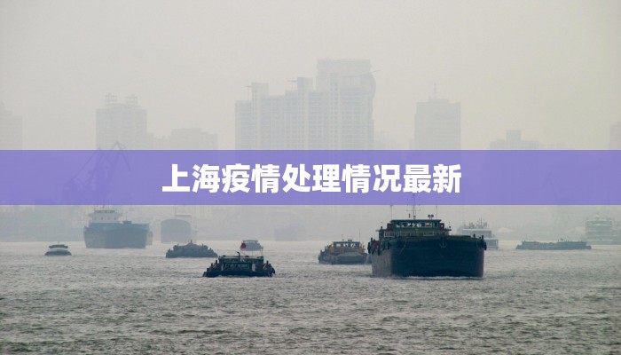 上海疫情处理情况最新