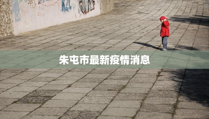 朱屯市最新疫情消息