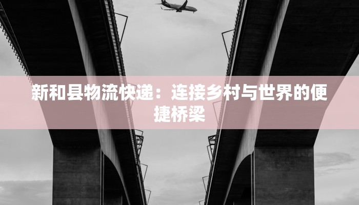 新和县物流快递：连接乡村与世界的便捷桥梁