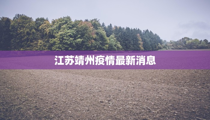 江苏靖州疫情最新消息