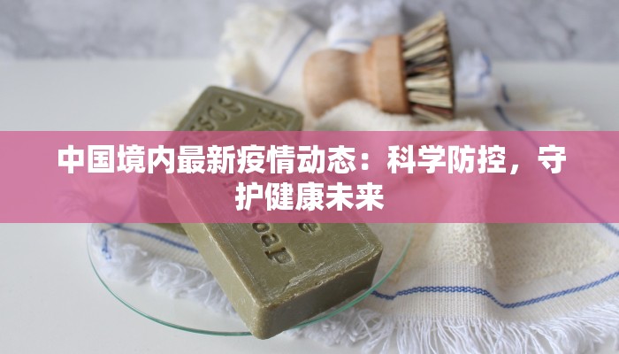 中国境内最新疫情动态：科学防控，守护健康未来