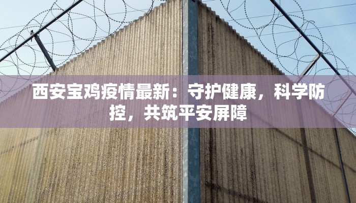 西安宝鸡疫情最新：守护健康，科学防控，共筑平安屏障