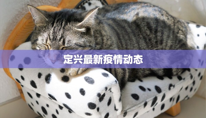 孤山子镇最新疫情防控：守护家园的温暖力量