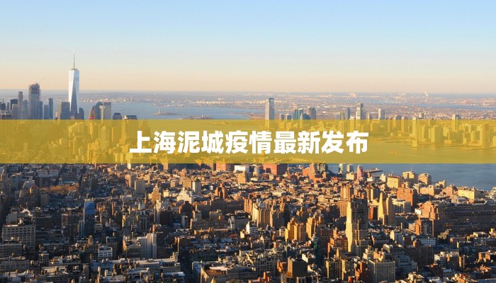 上海泥城疫情最新发布