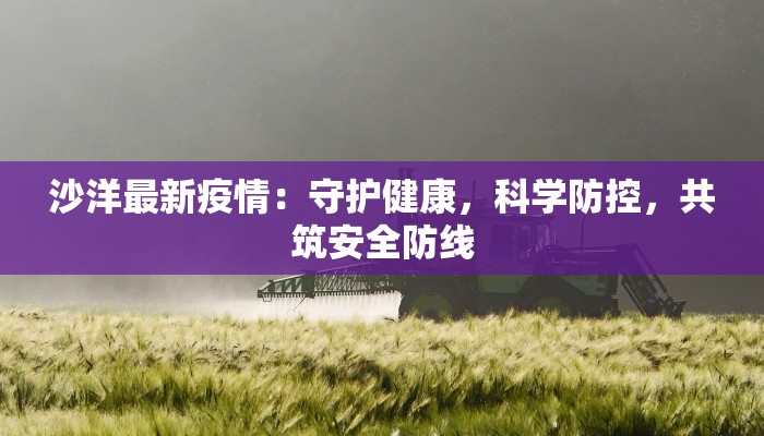 沙洋最新疫情：守护健康，科学防控，共筑安全防线